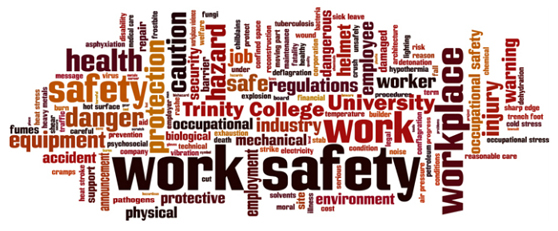 Health and Safety TCD logo