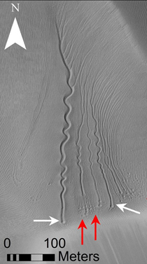 Mars gullies