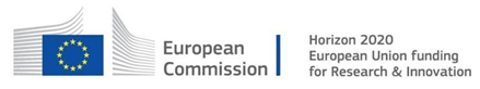 Euro Commission logo